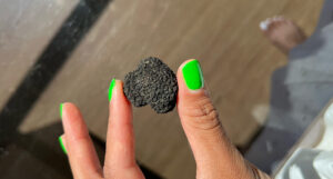 Black truffle.